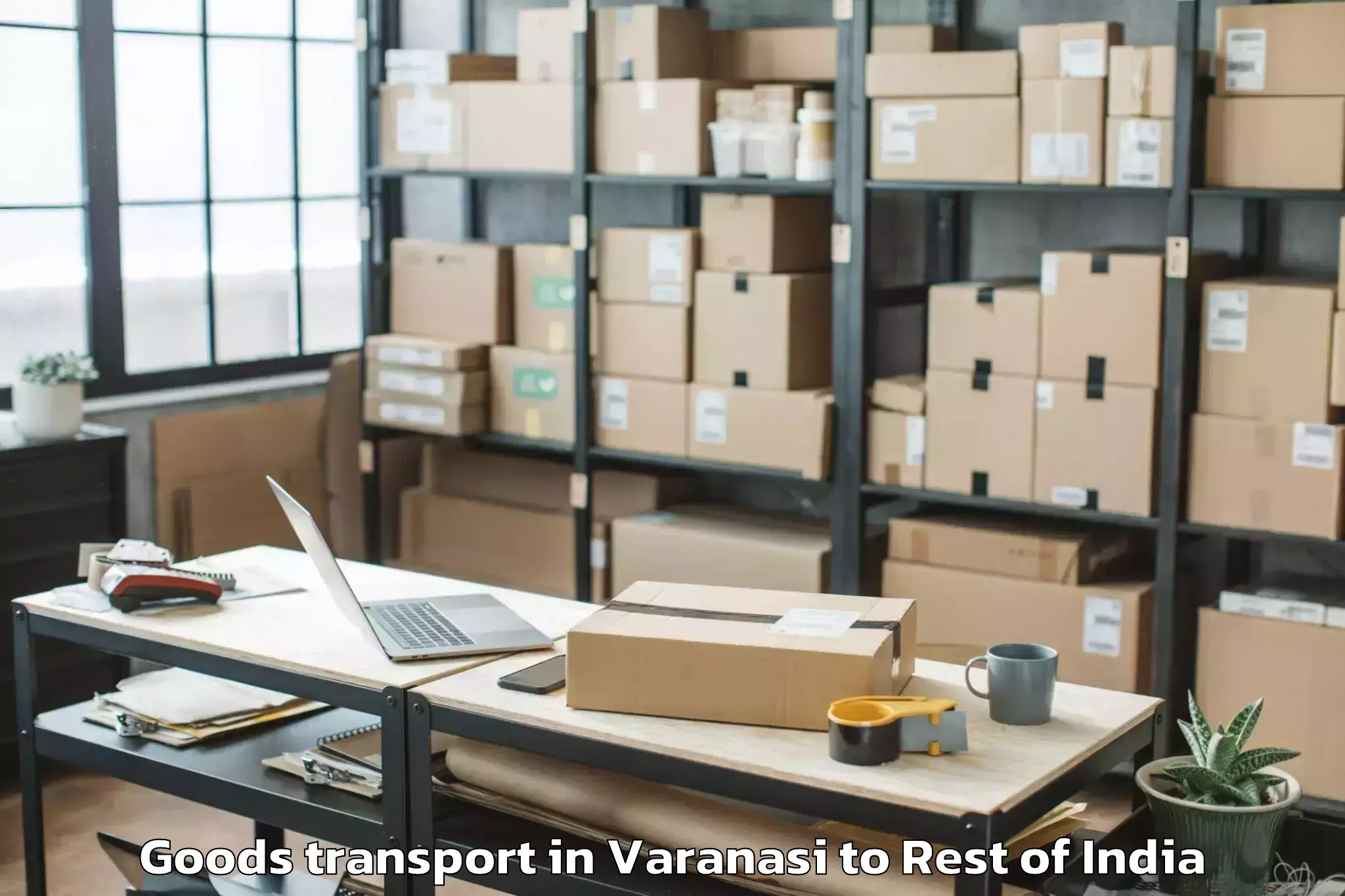 Expert Varanasi to Mopom Adipasi Goods Transport